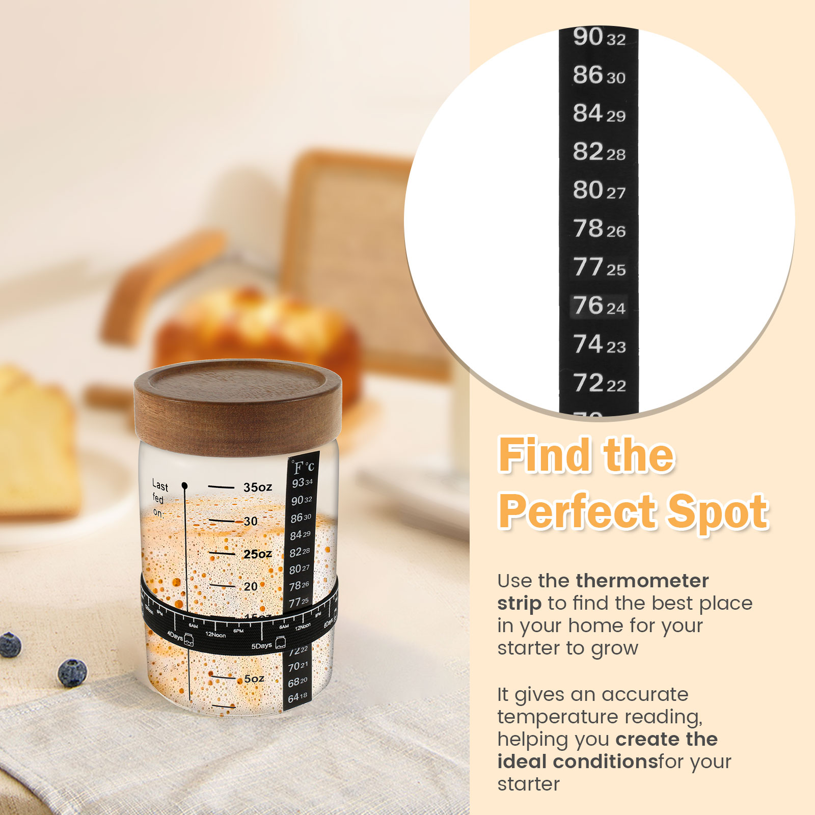 Sourdough Starter Jar Kit 1000 - Kitchen Baking Storage Containers ulasan dan harga