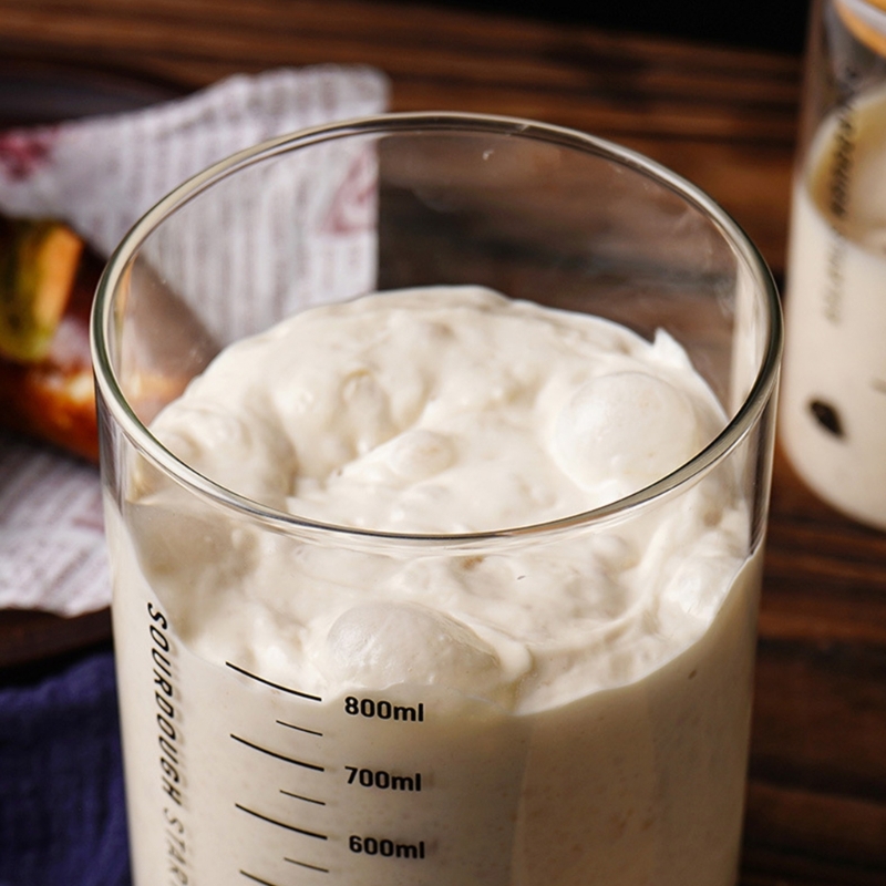 Sourdough Proofing Jar Kitchen - Kitchen Baking Storage Containers ulasan dan harga